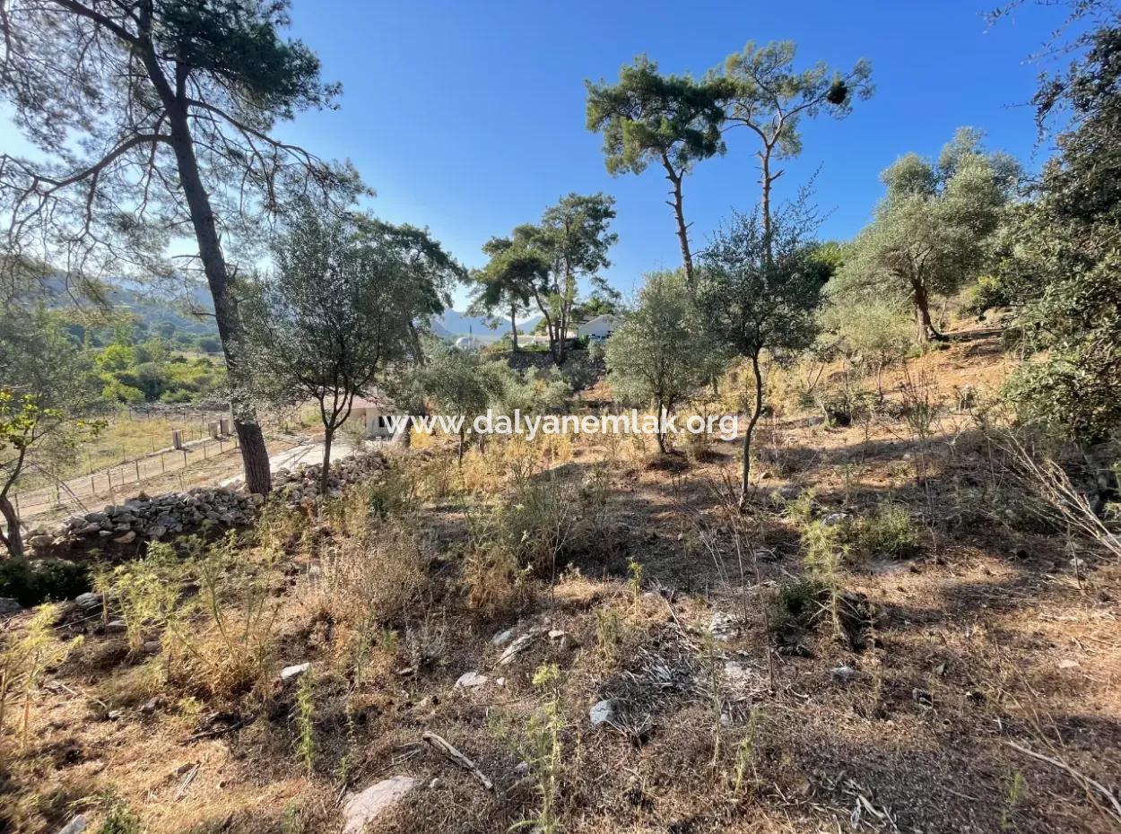 1,320M2 Field For Sale In Çandır Center By The Forest
