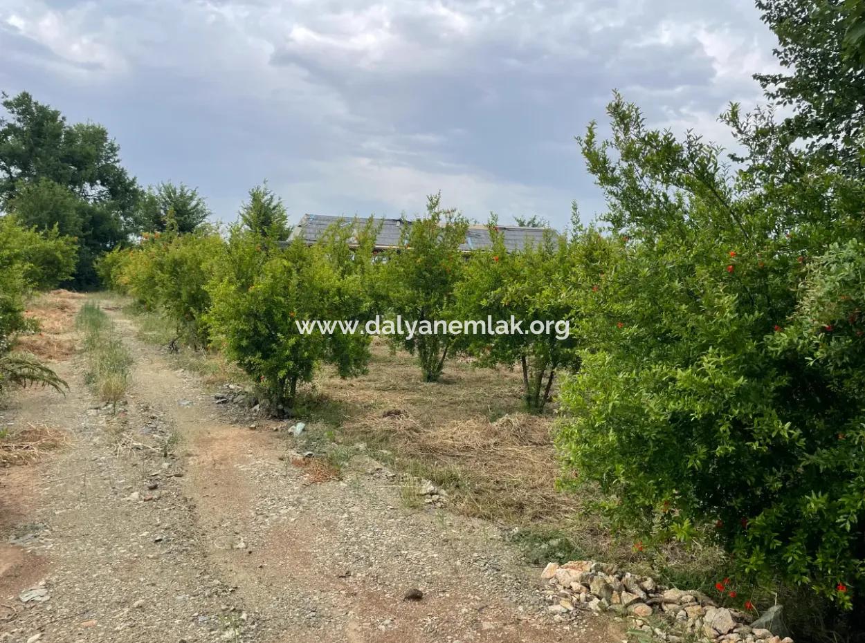 2,528M2 Field For Sale Near The Center Of Dalyan