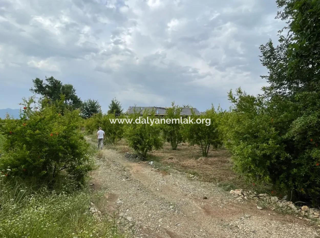 2,528M2 Field For Sale Near The Center Of Dalyan