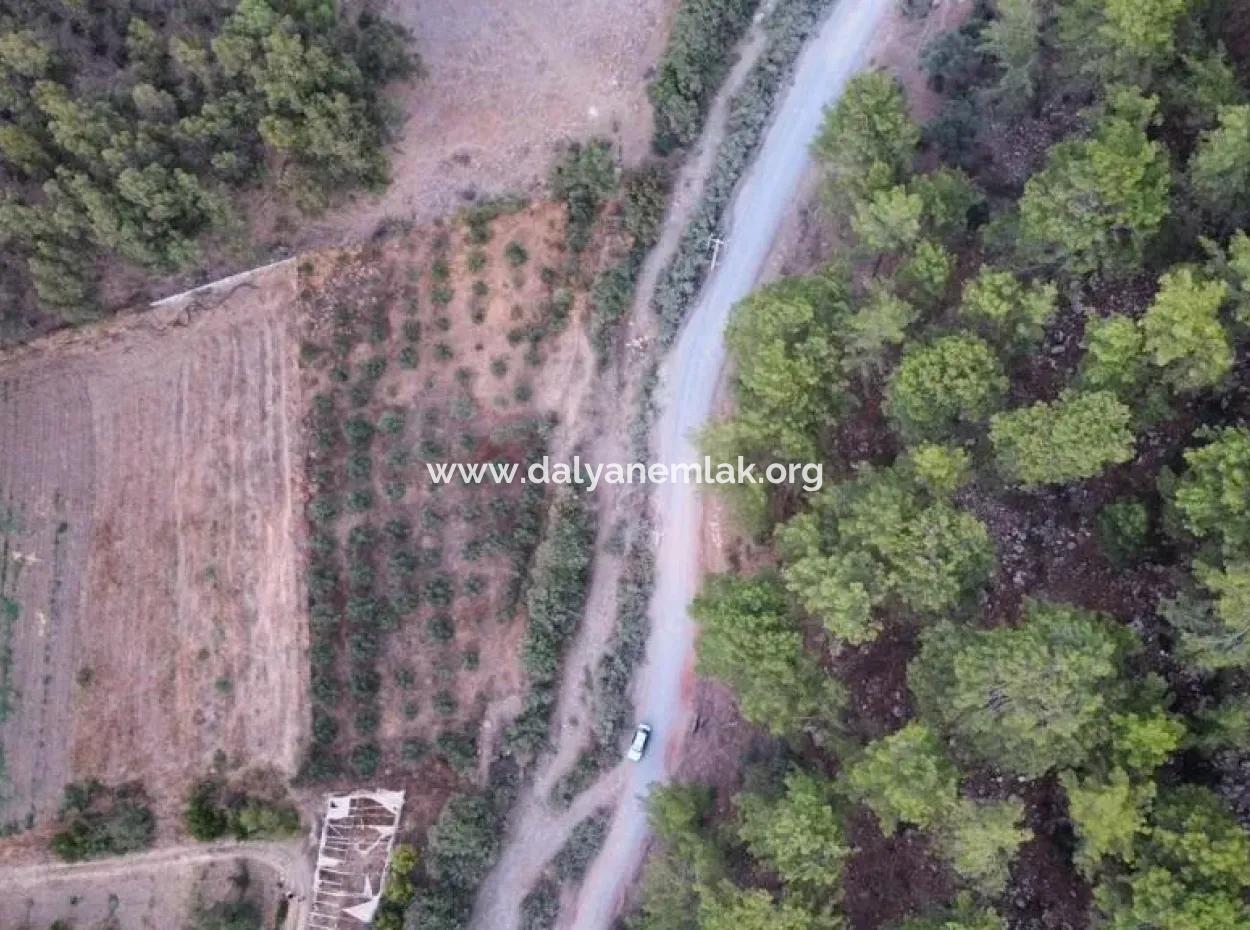 3578M2 Field For Sale On The Road Of Aşı Koyu In Mergenlide