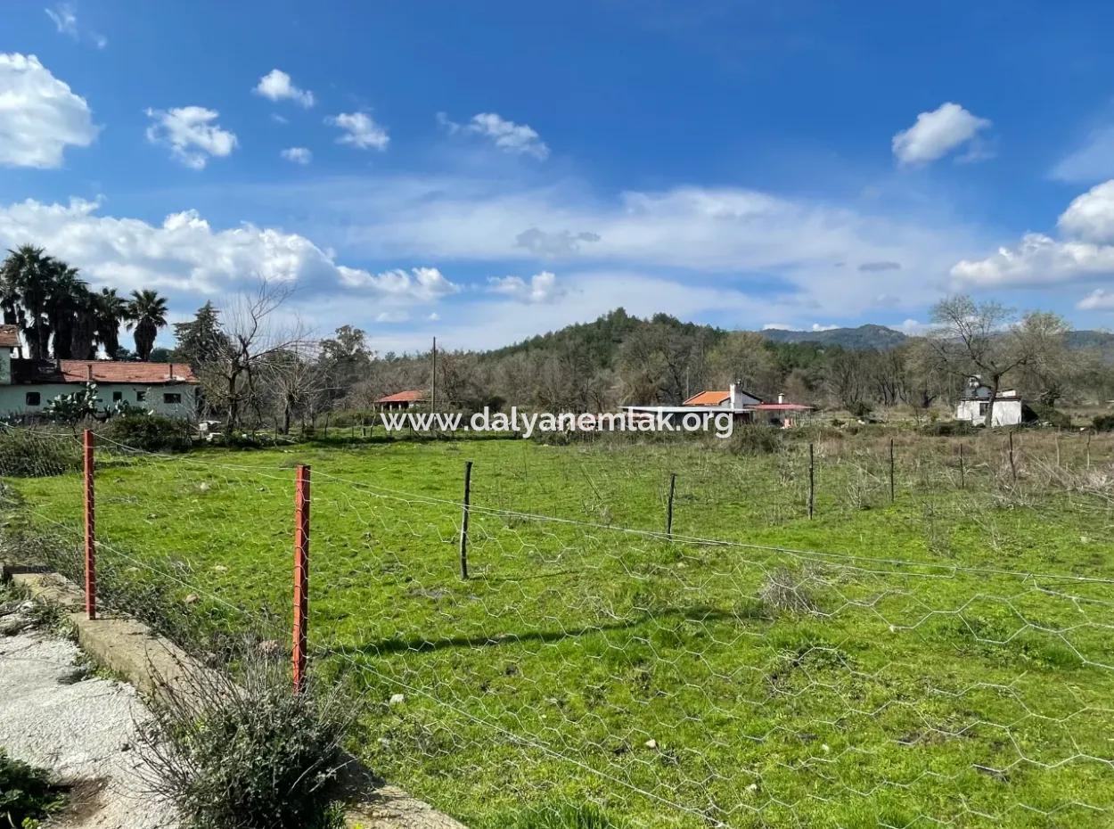 Sultaniye Büyükkaraç Mahallesin For Sale Field