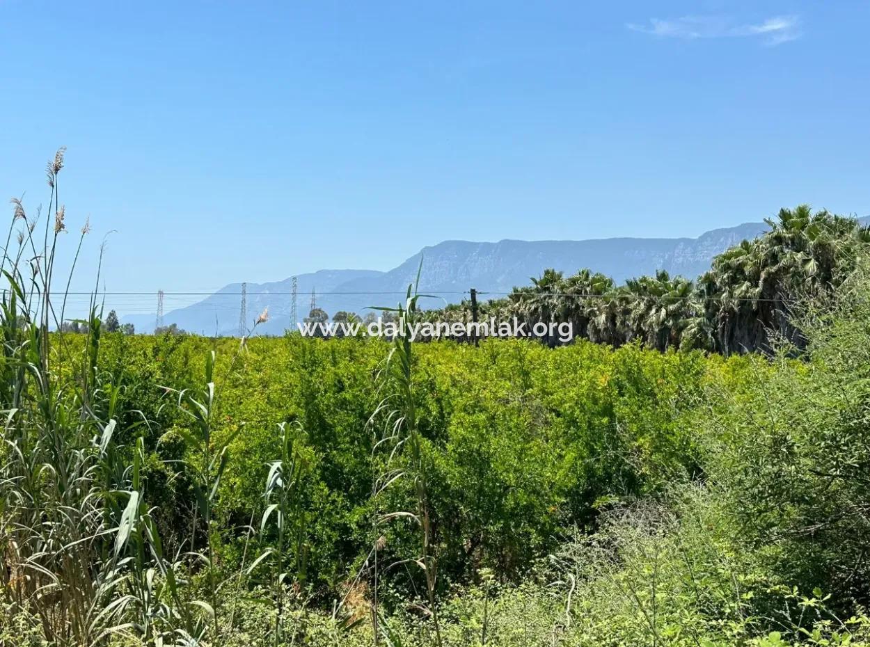 13,500M2 Roadfront Field For Sale In Akyaka Akçapınar