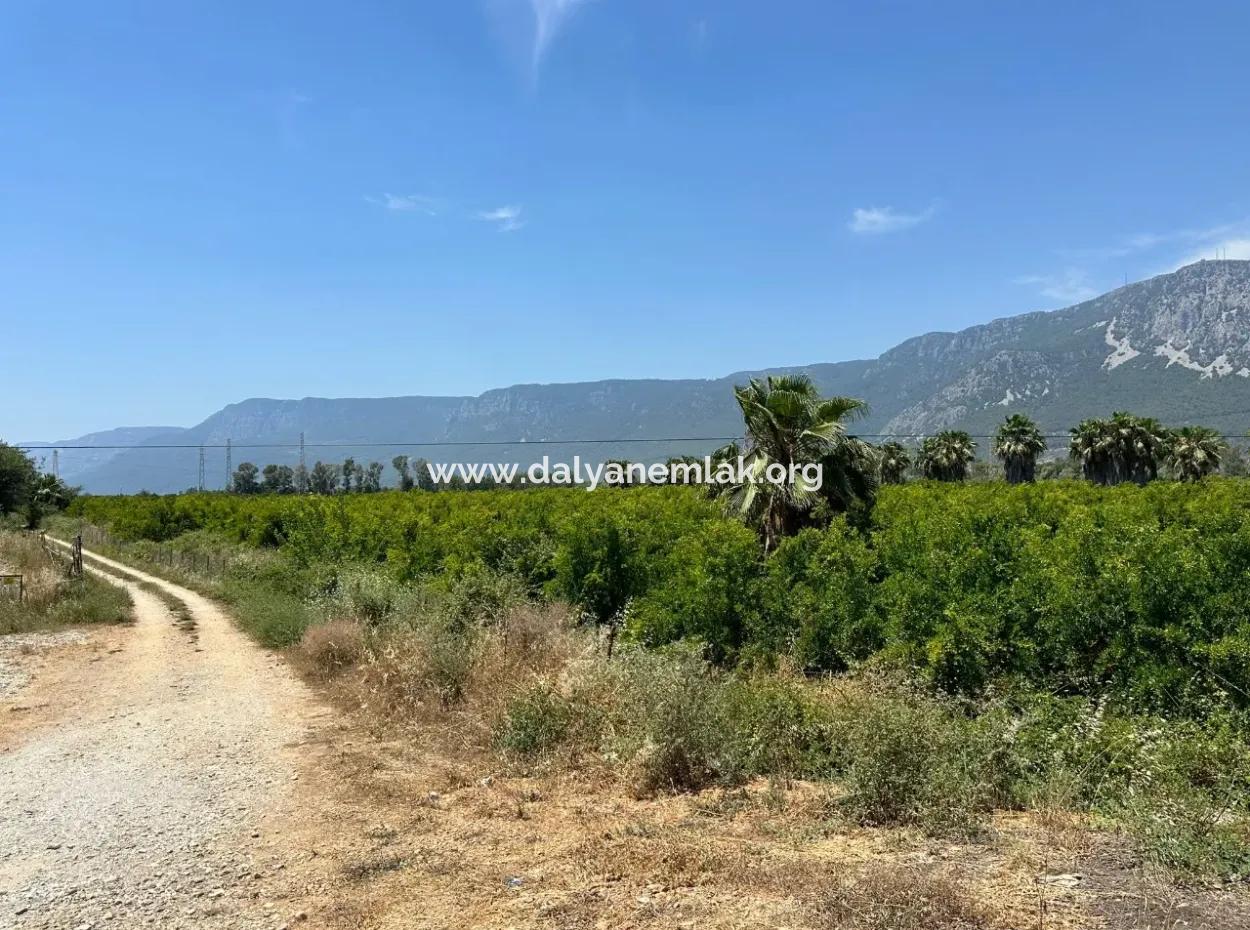 13,500M2 Roadfront Field For Sale In Akyaka Akçapınar