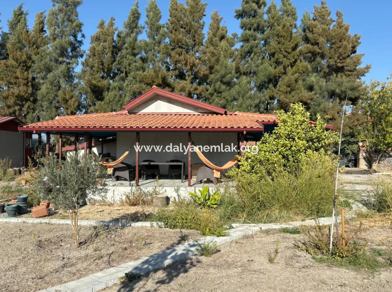 19.663M2 Farm Land And House For Sale In Eskiköy