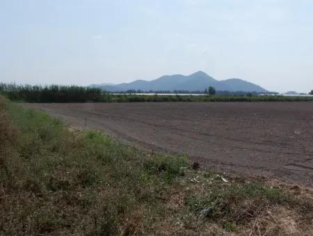 Farm For Sale In Dalyan Eskikoy Eskikoy Oriya 14,900M2 Plot For Sale Field