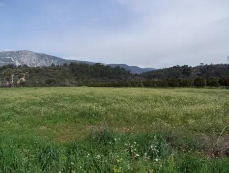 In Akyaka For Sale: Land For Sale Farm For Sale A Farm Near The Sea Of Ars, Yatirimlik 21625M2