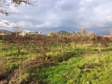 Dalyan Land For Sale Near The Center 3000M2 5% Zoning Land For Sale