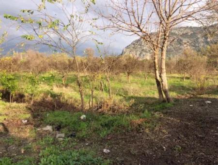 Dalyan Land For Sale Near The Center 3000M2 5% Zoning Land For Sale