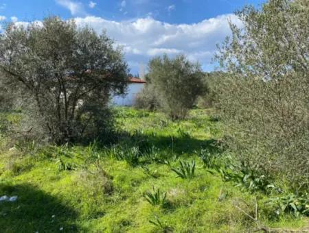 401M2 Land For Sale In Ortaca Cumhuriyet Neighborhood