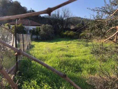 777M2 Land For Sale In Ula Sarayyanı
