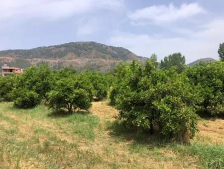 Land For Sale In Sourliyurtda 1085M2