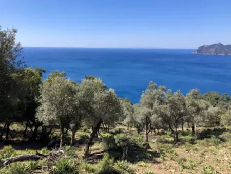 Land For Sale With Sea View In Çandir