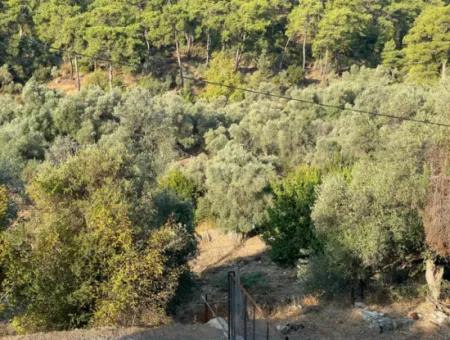 Çandir 3,800M2 Land For Sale