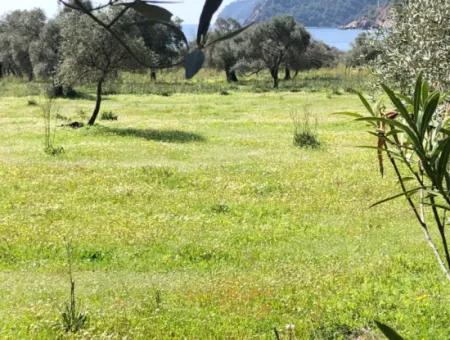 3250M2 Land For Sale In Ekincik With A View Near The Sea