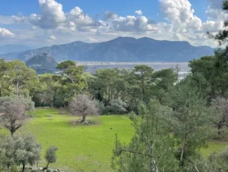 10,707M2 2B Field For Sale With Sea Lake View In Çandır