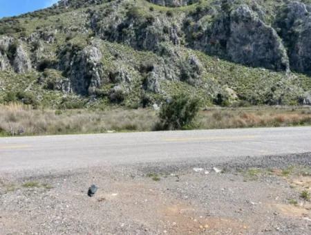 Dalyan Iztuzu Beach Road Zero 19,600M2 Field Land For Sale