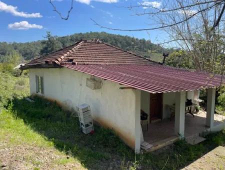 Village House For Sale In 5650M2 Field In Zeytinalann