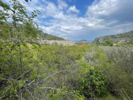 5000M2 Field For Sale At The Beginning Of The Road In Çandır