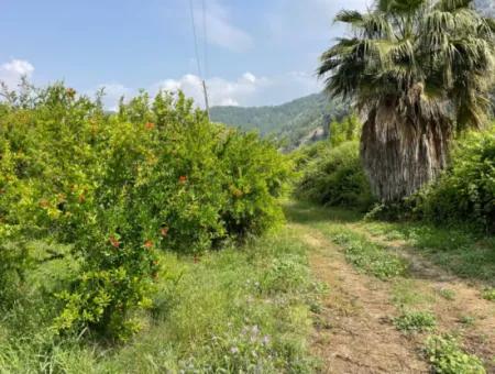 7800M2 Land For Sale At The Beginning Of Iztuzu Beach Road In Gökbel