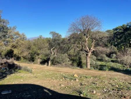 2B Land For Sale With Sea View In Çandır