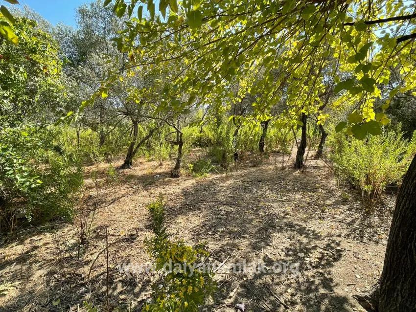 Продается Отдельно Стоящий Дом Площадью 2765 М² В Чандыре, Прямо Рядом С Каналом.
