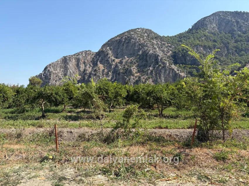 Для продажи Поле в Dalyan Ortaca - Под Поле застройку - 20.786 m²