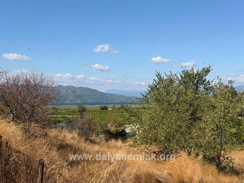 Для продажи Поле в Dalyan Ortaca - Под Поле застройку - 5.000 m²