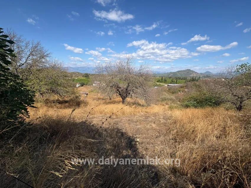 Для продажи Поле в Dalyan Ortaca - Под Поле застройку - 5.000 m²