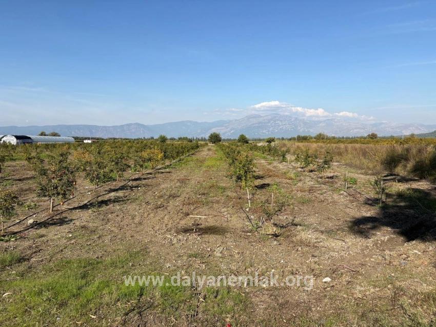 Для продажи Поле в Eskiköy Ortaca - Под Поле застройку - 21.500 m²
