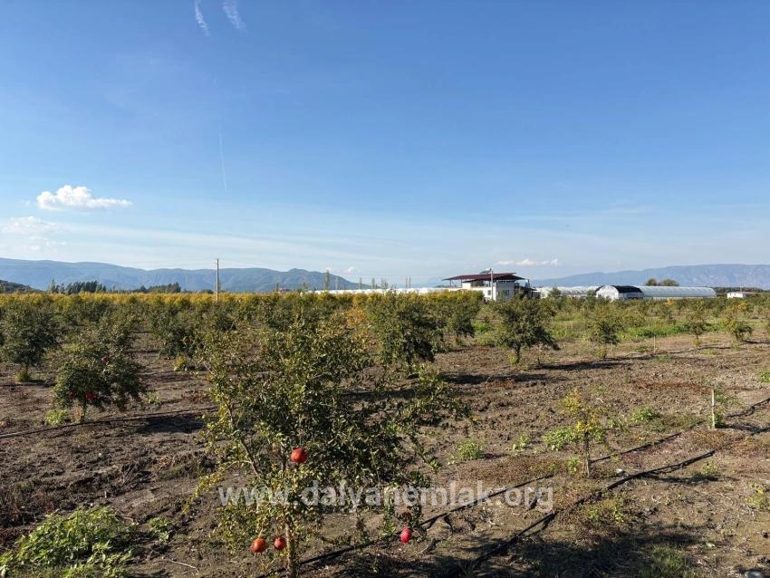 Для продажи Поле в Eskiköy Ortaca - Под Поле застройку - 21.500 m²