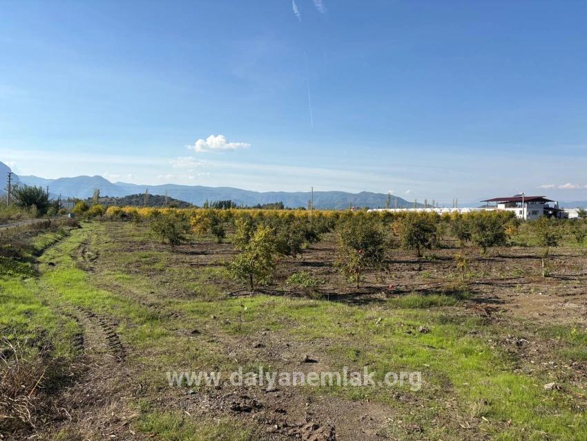 Для продажи Поле в Eskiköy Ortaca - Под Поле застройку - 21.500 m²