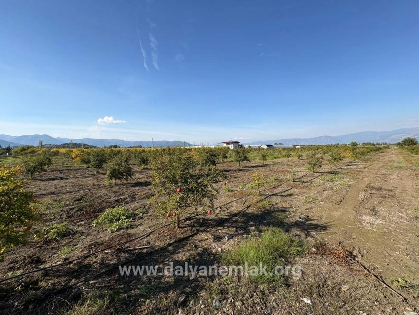 Для продажи Поле в Eskiköy Ortaca - Под Поле застройку - 21.500 m²