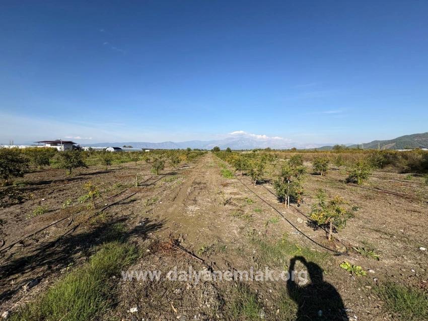 Для продажи Поле в Eskiköy Ortaca - Под Поле застройку - 21.500 m²