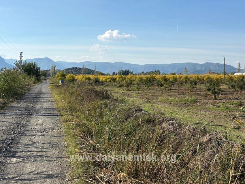 Для продажи Поле в Eskiköy Ortaca - Под Поле застройку - 21.500 m²