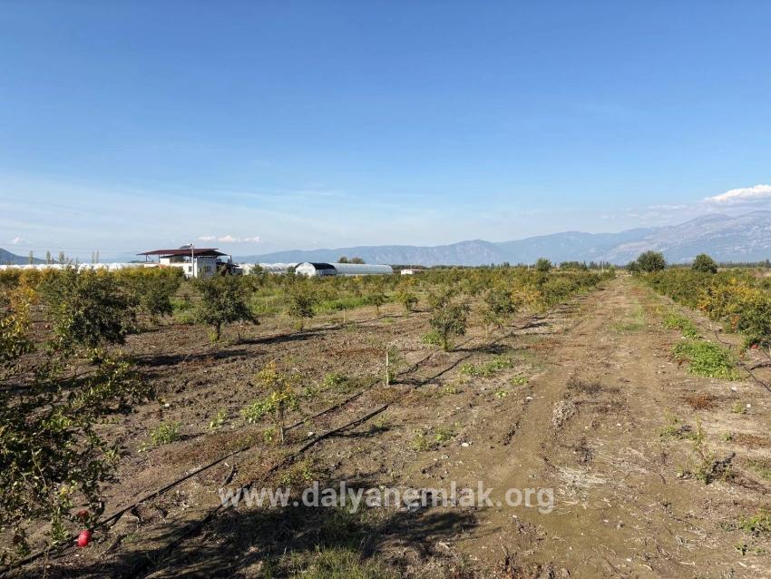Для продажи Поле в Eskiköy Ortaca - Под Поле застройку - 21.500 m²