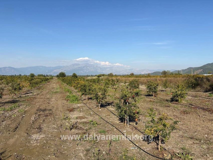 Для продажи Поле в Eskiköy Ortaca - Под Поле застройку - 21.500 m²