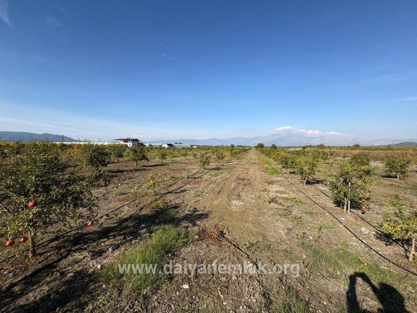 Для продажи Поле в Eskiköy Ortaca - Под Поле застройку - 21.500 m²