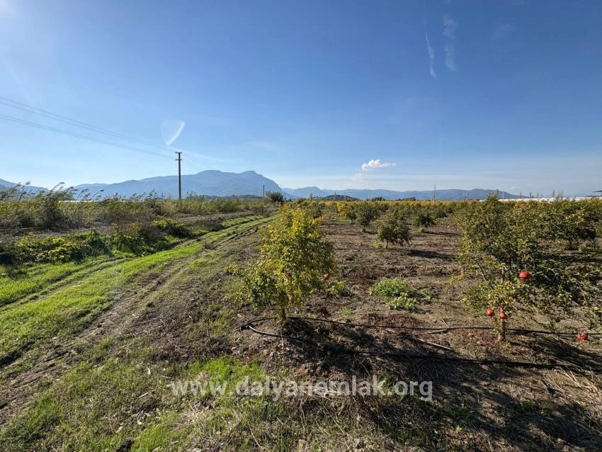 Для продажи Поле в Eskiköy Ortaca - Под Поле застройку - 21.500 m²