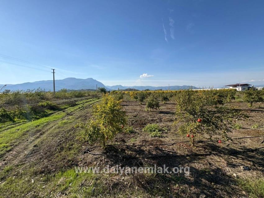 Для продажи Поле в Eskiköy Ortaca - Под Поле застройку - 21.500 m²
