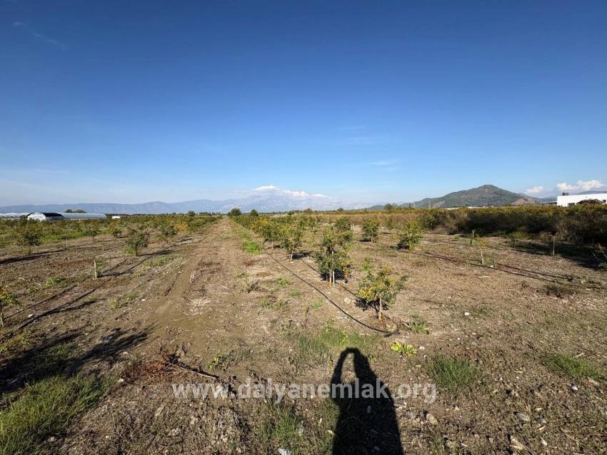 Для продажи Поле в Eskiköy Ortaca - Под Поле застройку - 21.500 m²