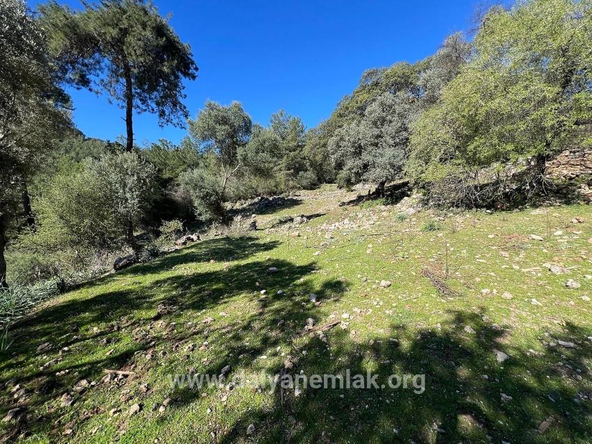 Продается Земельный Участок В Гёкбеле, В Окружении Природы И Леса.