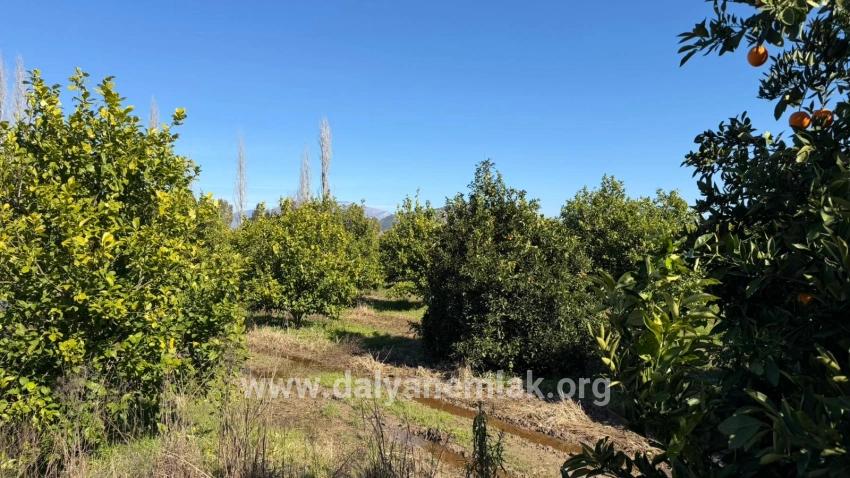 Продается Земельный Участок Площадью 2 218 М² В Окчуларе, Мармарис.