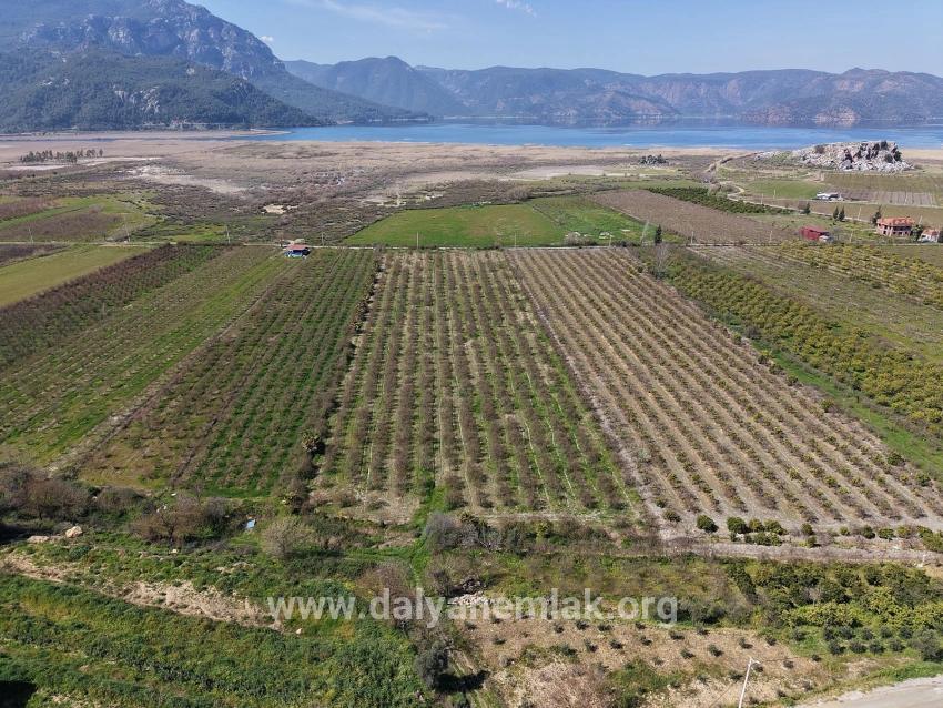 Для продажи Поле в Eskiköy Ortaca - Под Поле застройку - 16.710 m²