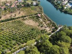 Для продажи Поле в Çandır Köyceğiz - Под Поле застройку - 20.000 m²