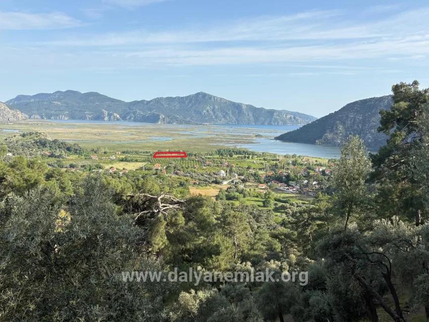 Köyceğiz Çandır Mah. Satılık Tarla - Tarla İmar Durumlu - 1.252 m²