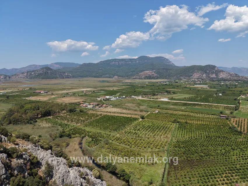 Ortaca Dalyan Mah. Satılık Tarla - Tarla İmar Durumlu - 20.786 m²
