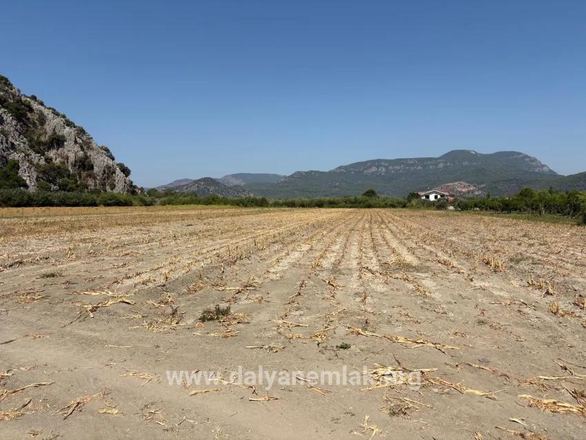 Ortaca Dalyan Mah. Satılık Tarla - Tarla İmar Durumlu - 20.786 m²