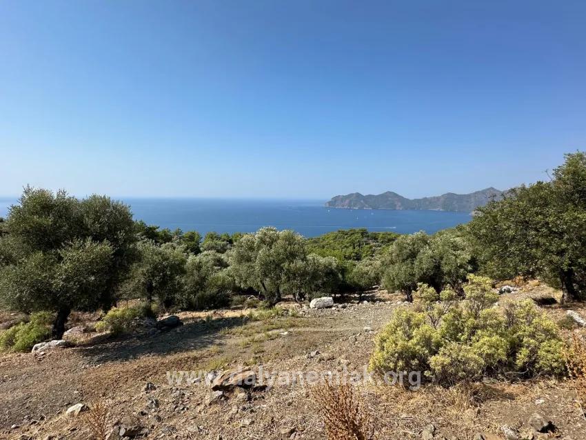 Köyceğiz Çandır Mah. Satılık Tarla - Tarla İmar Durumlu - 21.000 m²