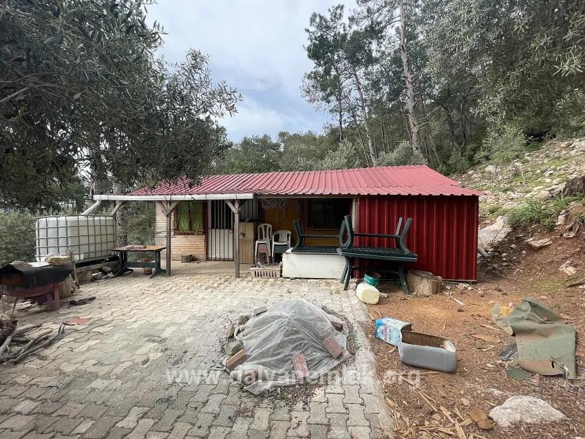 Köyceğiz Ekincik Mah. Satılık Tarla - Zeytinlik İmar Durumlu - 7.000 m²