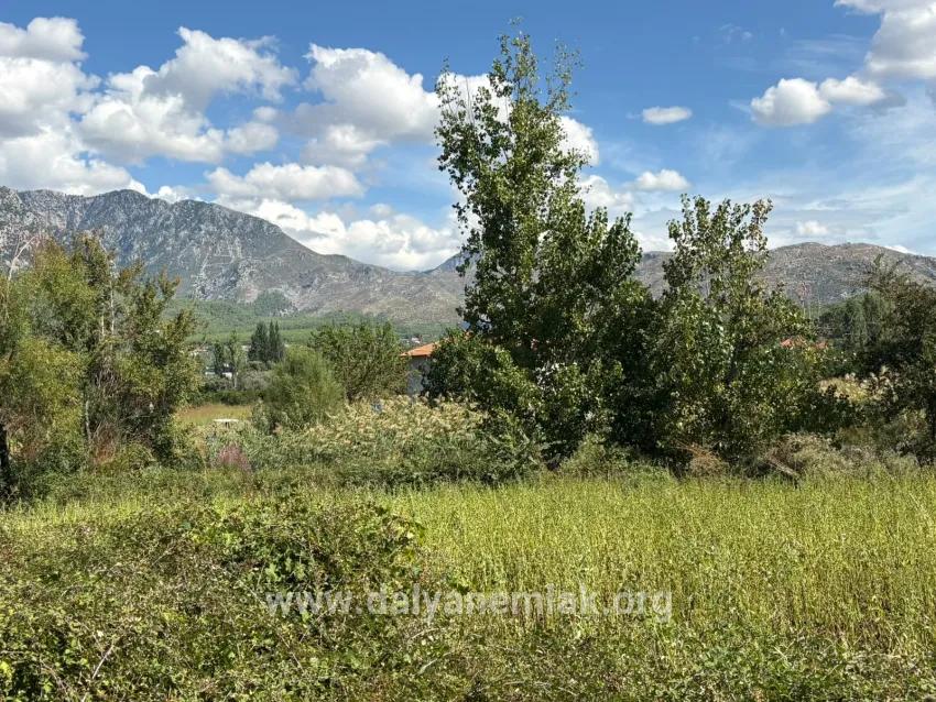 Köyceğiz Zeytinalanı Mah. Satılık Tarla - Tarla İmar Durumlu - 10.500 m²
